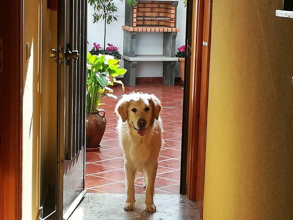Casa Rural La Herencia Alía Eksteriør billede